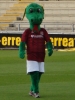 Northampton Mascot