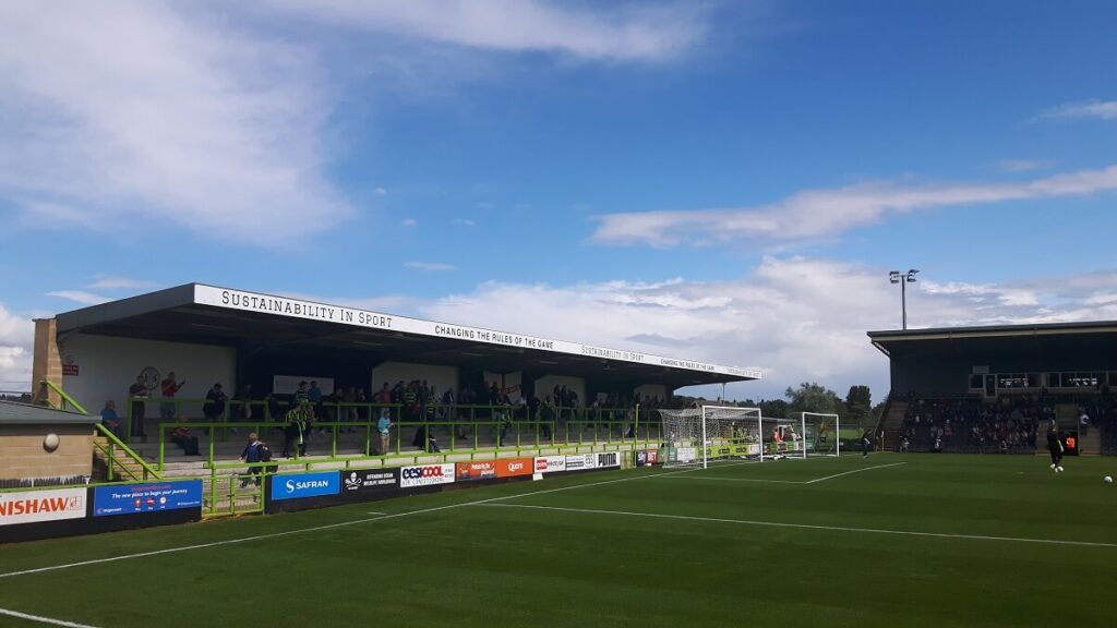 Terracing at the New lawn